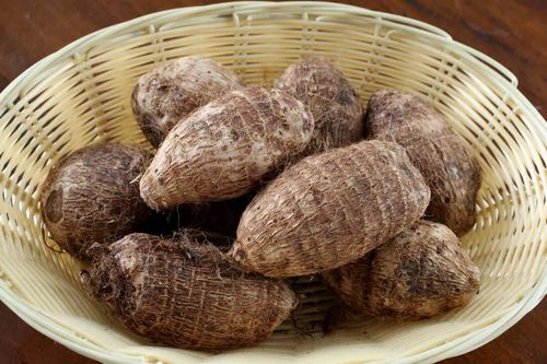 Mua khoai môn nên chọn củ to hay củ nhỏ?