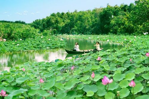 Du lịch sinh thái, trải nghiệm -Dấu ấn đất sen hồng