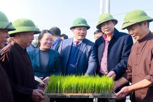 Huyện Thường Tín sẽ hoàn thành xây dựng huyện NTM nâng cao trong năm 2024