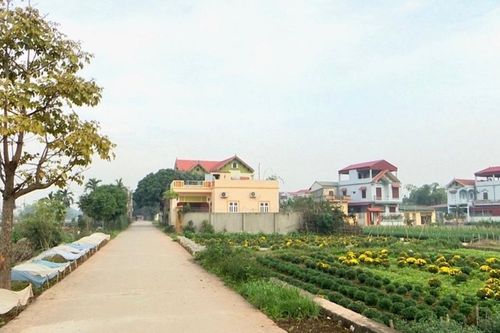 Huyện Thường Tín: Niềm vui mới ở 'xã điểm' xây dựng nông thôn mới Nhị Khê