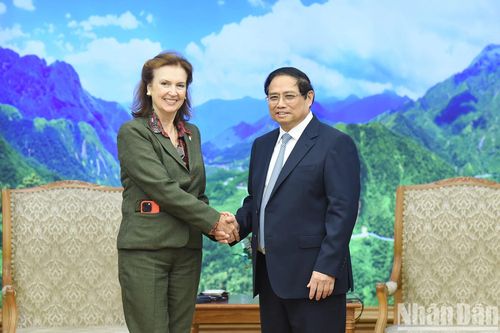 Nâng cao giá trị trao đổi thương mại, hướng tới hợp tác lâu dài giữa các doanh nghiệp Việt Nam và Argentina