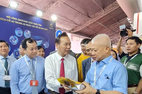 Khai mạc Hội chợ triển lãm quốc tế công nghệ ngành tôm Việt Nam