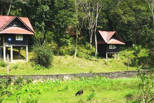 Khu du lịch sinh thái bỏ hoang
