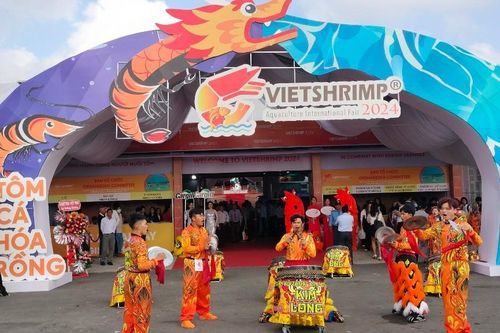 Tìm giải pháp hữu hiệu đưa ngành tôm Việt Nam phát triển