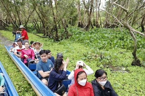 Khôi phục cảnh quan đất ngập nước rừng tràm Trà Sư
