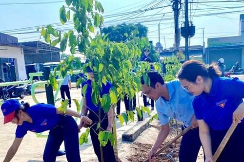 Thành phố Buôn Ma Thuột trồng mới ít nhất 5.000 cây xanh