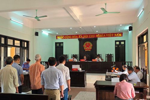 Trả hồ sơ vụ án gây thiệt hại cho nhà nước hơn 11.000 mét khối gỗ thông
