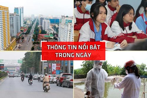 Nghệ An: Thông tin nổi bật ngày 20/3