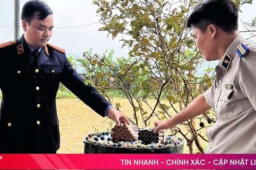 Tiêu hủy hơn 100kg pháo lậu và tang vật vụ án