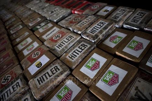 Cảnh sát Bolivia triệt phá vụ buôn bán ma túy sang Bỉ, thu giữ hơn 7 tấn cocaine