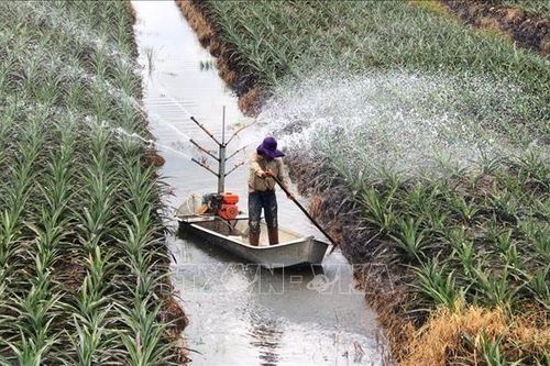 Đoàn kết cùng hành động phục hồi nguồn nước trên toàn cầu