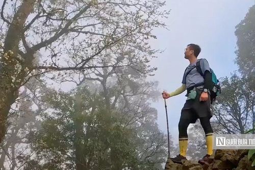 Trekking đỉnh Putaleng ngắm 'Nữ hoàng hoa Tây Bắc'