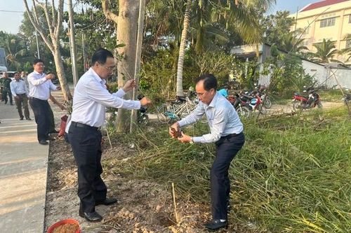 Cần Thơ: Phát động mô hình trồng cây mai vàng tại huyện Phong Điền