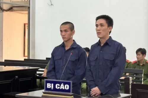 Nhiều lần vào tù vẫn không chừa