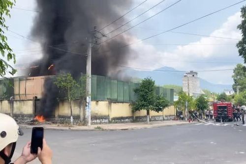 Đang điều tra nguyên nhân vụ cháy tại bãi tập kết phương tiện vi phạm ở Khánh Vĩnh