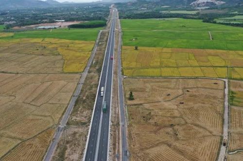 Mùa vàng ở Diên Khánh