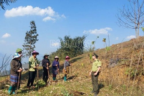 Si Ma Cai tổ chức 40 buổi tuyên truyền lưu động về phòng cháy, chữa cháy rừng cho người dân