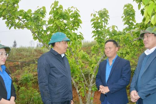 Phó Bí thư Tỉnh ủy Hoàng Giang thăm, khảo sát một số mô hình thanh niên phát triển kinh tế