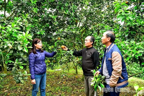 Rộng cửa dám nghĩ, dám làm