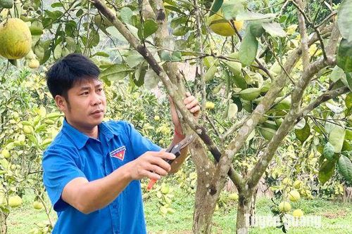 Làm giàu từ mô hình kinh tế tổng hợp
