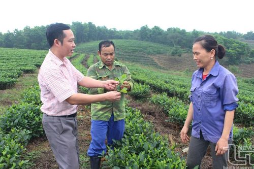 Đại Từ nâng cao chất lượng đội ngũ cán bộ, công chức