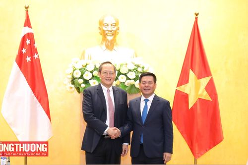 Việt Nam - Singapore: Cụ thể hóa định hướng hợp tác trong lĩnh vực năng lượng