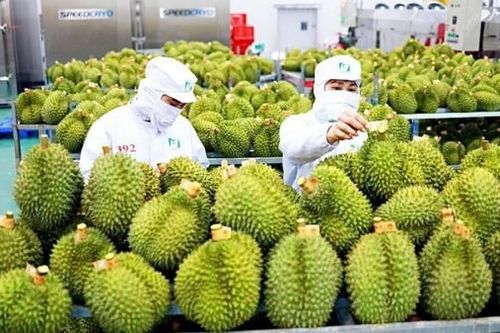 Cần xây dựng nhãn hiệu nông sản để bảo vệ giá trị sản phẩm