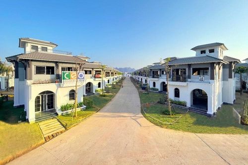 Kế hoạch kinh doanh và trả cổ tức của CEO Group