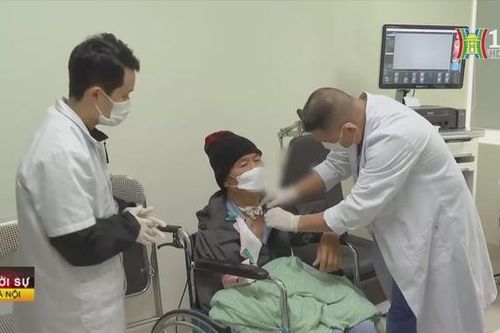 30 con giòi trong cổ họng bệnh nhân mở nội khí quản