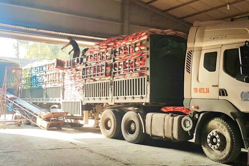 Đảm bảo nguồn cung phân bón phục vụ sản xuất vụ đông xuân
