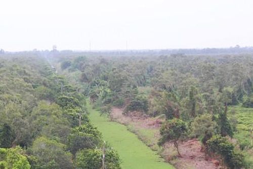 Kỳ 3: Người 'khát', rừng khô