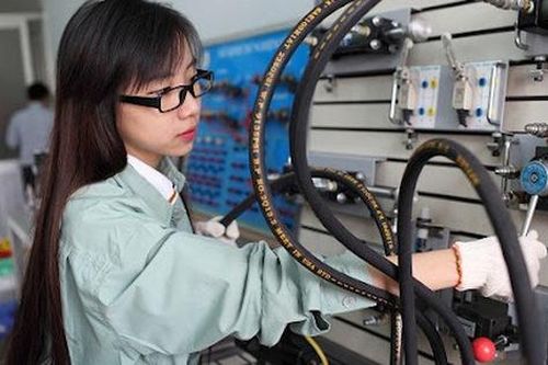 Xuất hiện thêm một ngành học có mức thu nhập hấp dẫn hàng triệu người mơ ước