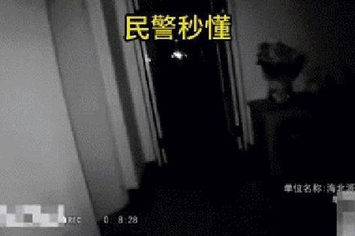 Nhà tự dưng mất điện, thay vì gọi thợ điện, người phụ nữ báo cảnh sát, kết quả khiến ai cũng bủn rủn