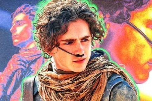5 bộ phim đưa Timotheé Chalamet trở thành 'con cưng' của giới phê bình Hollywood