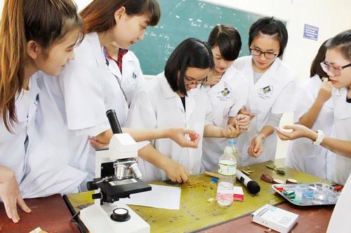 Tràn lan đào tạo y khoa liên tục, Bộ Y tế vào cuộc chấn chỉnh