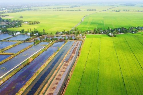 Huy động nguồn lực cho nông nghiệp thuận thiên tại Đồng bằng sông Cửu Long