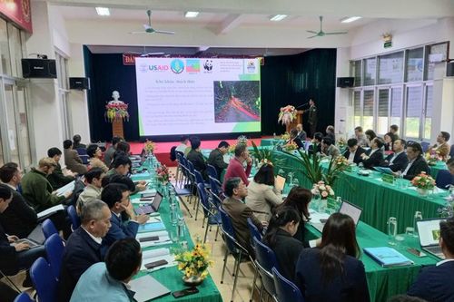 Phát triển du lịch sinh thái gắn với bảo tồn đa dạng sinh học