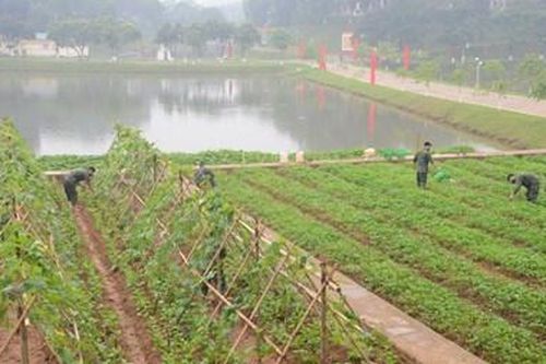 Bộ đội Hậu cần làm theo lời Bác Hồ dạy: Hiệu quả thiết thực từ phong trào thi đua