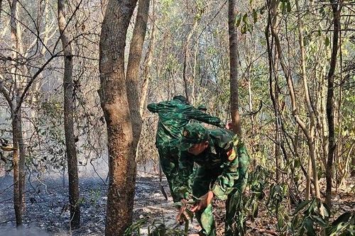 Bà Rịa - Vũng Tàu: Điều tra nguyên nhân vụ cháy 3.000 m2 rừng