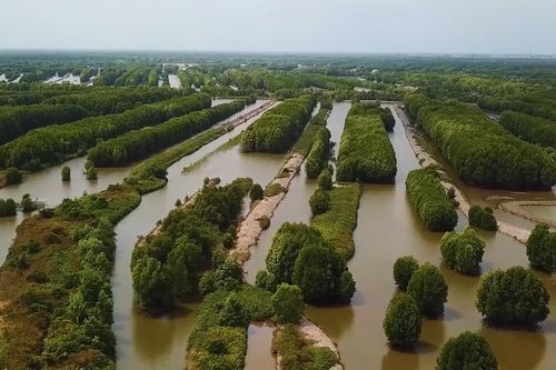ĐBSCL huy động nguồn lực thực hiện các giải pháp nông nghiệp thuận thiên
