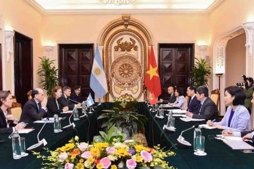 'Lực hấp dẫn' mang tên Việt Nam