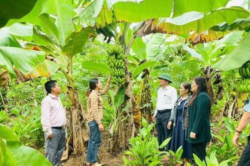 Thu hẹp khoảng cách giới trong phát triển kinh tế đối với phụ nữ dân tộc thiểu số