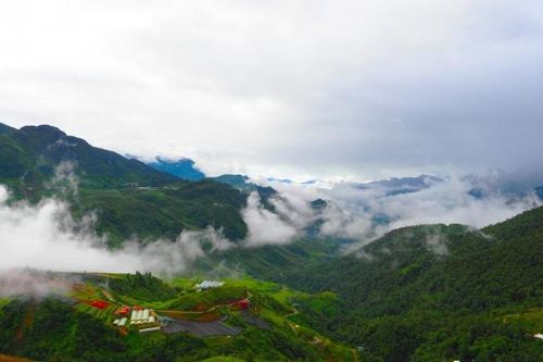 Du khách thích thú săn mây trên đèo Ô Quy Hồ