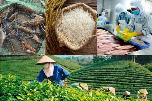 Xây dựng, bảo hộ thương hiệu nông sản Việt: Muộn còn hơn không!