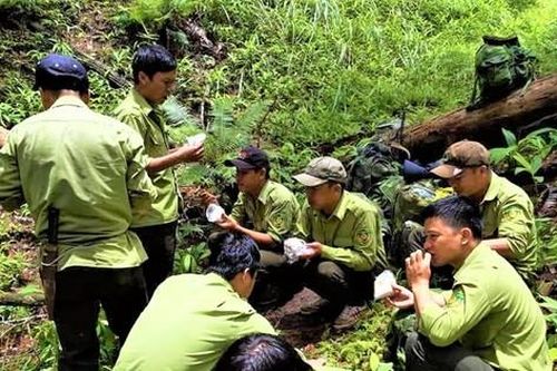 Khốc liệt cuộc chiến giữ rừng - Kỳ 2: Quyền lợi lẩn khuất đâu đó…