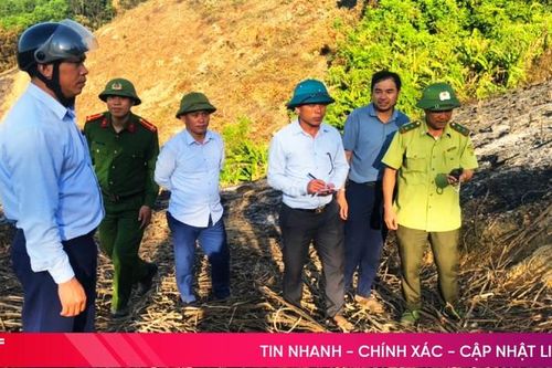 Thị xã Kỳ Anh hướng tới xã hội hóa công tác bảo vệ, phòng chống cháy rừng