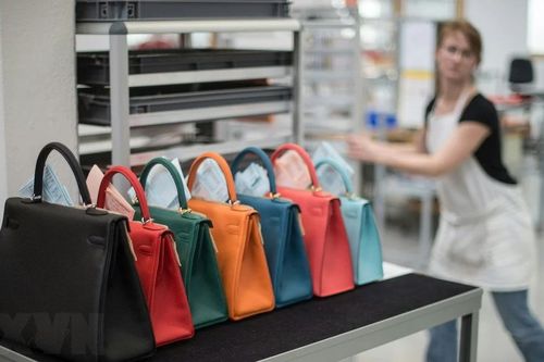 Hãng thời trang xa xỉ Hermes bị kiện tập thể tại Mỹ