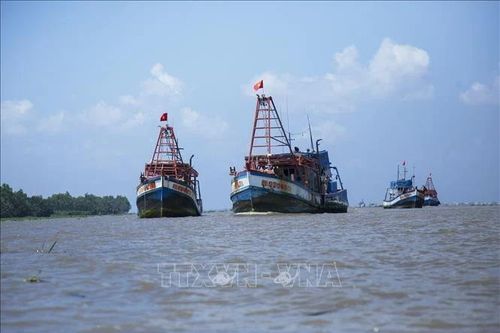 Cà Mau: Nói không với khai thác thủy, hải sản 'tận diệt'