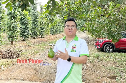 Đặng Dương Minh Hoàng tiên phong với 'nông nghiệp số'