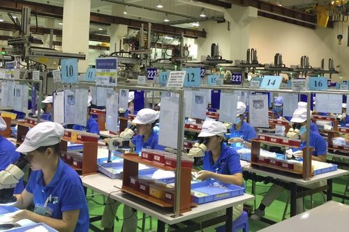 Cần chuyển đổi 'xanh' cho thị trường lao động Việt Nam